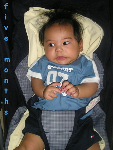 5 months